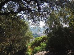 183 HYERES ET SES PALMIERS D03_000014